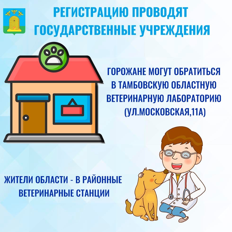 В следующем году в Тамбовской области вводится обязательная регистрация собак. Для иных видов домашних животных - по желанию владельцев. Мера начнет действовать с 1 мая 2026 года. Для внесения в реестр питомец должен быть чипирован. Введенная под кожу капсула имеет 15-значный код, в котором зашифрованы данные о четвероногом, его здоровье и владельце. Где в Тамбове провести все необходимые процедуры и до какого периода это можно сделать бесплатно — в наших карточках.