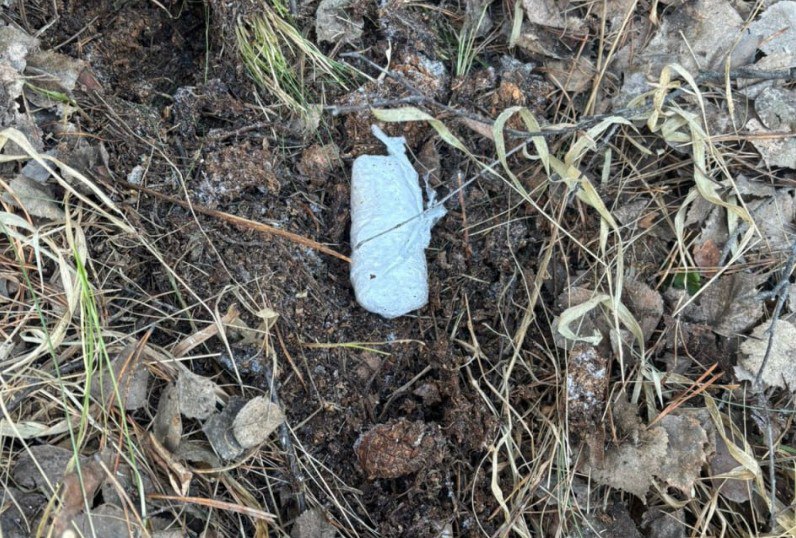 В Челябинске поймали наркоторговку из Свердловской области 26-летняя женщина забирала крупные партии запрещённых веществ из тайников, расположенных в Курганской и Свердловской областях. Затем перевозила их в Курган и Челябинск на личном автомобиле, где фасовала и раскладывала по тайникам для дальнейшей бесконтактной продажи. В ходе предварительного расследования фигурантка была заключена под стражу. Полицейские изъяли из оборудованных тайников более 1,6 килограммов синтетического наркотика эфедрона и свыше 800 граммов гашиша. Жительнице Свердловской области предъявлено обвинение в совершении 71 преступления. ПОДРОБНЕЕ URALPRESS.RU