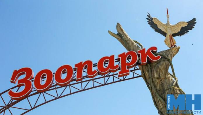 Минский зоопарк приглашает на образовательные среды 12 19 и 26 ноября Организаторы поделятся удивительными фактами о представителях фауны и расскажут как выбирали имена обитателям зоопарка Прогулка будет по открытой территории Время проведения экскурсий 13 00 сбор у центрального входа