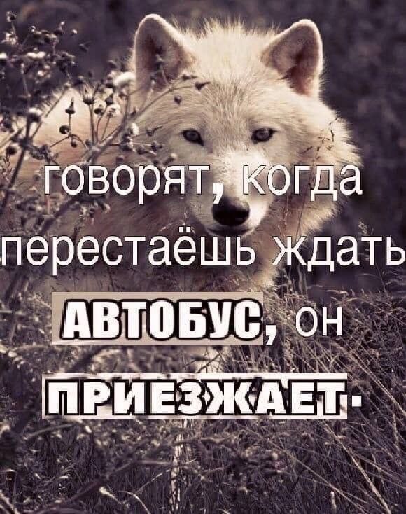 Повышение проезда в автобусах Ростова отложили В Ростове на Дону запланированное повышение стоимости проезда в городских автобусах не состоится в ранее объявленный срок 11 декабря Об этом сообщает портал Ростовский городской транспорт ссылаясь на информацию от городской администрации Причиной задержки стало то что соответствующий документ еще должен пройти согласование в нескольких ведомствах Сроки завершения проверки пока не определены Напомним новая тарифная сетка предполагает что при оплате транспортной картой одна поездка будет стоить 41 рубль при безналичной оплате 44 рубля а при оплате наличными 48 рублей enter rostov