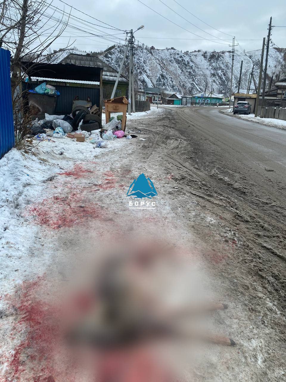 Тушу косули нашли на Базаихе жители уверены что животное загрызла стая собак Мертвое животное обнаружили недалеко от остановки поселок Базаиха Когда решат уже проблему с этой стаей Базаиха по сути деревня и нравы здесь соответствующие есть собаки на самовыгуле и сформированная стая бездомных давно сложившаяся и хорошо организованная Собак много но реально опасны только те кто в стае рассказал местный житель Красноярцы уже несколько раз подавали заявки на отлов собак однако по их словам стая убегает на территорию заповедника Столбы и поймать ее не удается О нападениях на людей пока не сообщается Бродячие псы орудуют на территории национального парка уже несколько лет Руководство заповедника отмечает что собаки уничтожают диких животных в охраняемой зоне и пугают туристов Ранее дирекция Столбов обращалась в горсовет с просьбой помочь решить проблему UPD В департаменте горхозяйства пообещали отправить бригаду на Базайскую В последнее время не было заявок с этих адресов довольно давно Проблему ранее уже обозначали даже сотрудники нацпарка В этом районе действительно сложно отлавливать животных они убегают на территорию Столбов Мы изучали вопрос оказалось это общероссийская проблема Ее фиксируют везде где есть охраняемые природные территории граничащие с жилой застройкой План задание на отлов по данному адресу выдано рассказали в департаменте Это Борус Люди