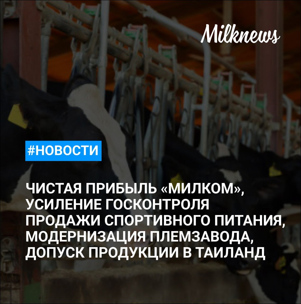 В Госдуме призвали усилить госконтроль за дистанционной продажей спортивного питания    Минтранс предложил снизить скидку по системе «Платон» до 25%    Племзавод «Заря» вложил 1,3 млрд руб. в модернизацию производства в Вологодской области    Чистая прибыль «Милком» упала на 73,2% за год на фоне высокой базы    Россельхознадзор сообщил о возможном допуске в Таиланд продукции животноводства России