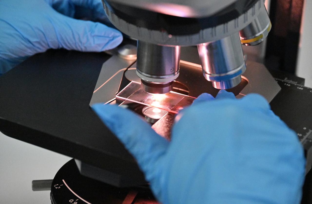 В России появился новый нацпроект Технологическое обеспечение биоэкономики Правительство приступает к реализации национального проекта Технологическое обеспечение биоэкономики Его ключевая задача консолидация усилий и ресурсов для создания конкурентных предприятий в том числе за счет модернизации имеющихся Новый нацпроект носит комплексный характер Председатель Правительства Михаил Мишустин отмечал что биоэкономика сформирует фундамент сразу для нескольких направлений в числе которых химия пищевая индустрия энергетика медицина экология сельское хозяйство В свою очередь первый вице премьер Денис Мантуров озвучил основные плановые показатели проекта до 2030 года наращивание уровня технологической независимости по продуктам биоэкономики до 40 увеличение объема производства продукции биоэкономики на 96 повышение доли отечественных биотехнологических продуктов в структуре потребления до 55 Также вырастет количество предприятий вовлеченных в подготовку профессиональную переподготовку и повышение квалификации кадров по направлению биоэкономики В этой работе должно участвовать 100 отраслевых компаний В структуру нацпроекта войдут 3 базовых федеральных проекта Организация производства и стимулирование сбыта продуктов биоэкономики Научно технологическая поддержка развития биоэкономики и Аналитическое методическое и кадровое обеспечение биоэкономики Подписаться на Правительство России в MAX