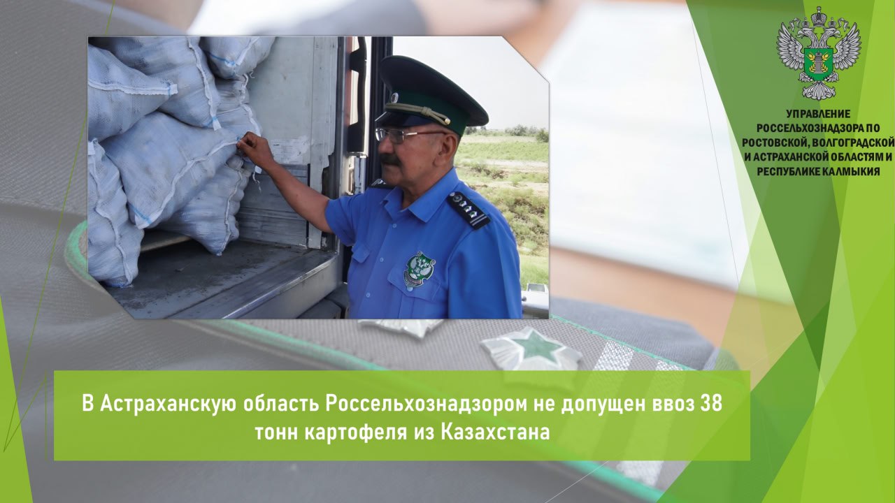 В период с 20 по 23 мая Управлением Россельхознадзора в фитосанитарном контрольном посту «Караозек» в рамках межведомственного взаимодействия с Пограничным управлением ФСБ России по Республике Калмыкия и Астраханской области и мобильной группой Астраханской таможни выявлены нарушения при перемещении двух партий картофеля 38 т из Казахстана. При ввозе выявлено отсутствие маркировки на упаковке партии продукции. Кроме того, фитосанитарный сертификат на продукцию недействительный. Должностным лицом Управления составлены акты карантинного фитосанитарного контроля и предписания о возврате. В соответствии с законодательством России продукция возвращена в Казахстан. С представителями отправителей грузов Управлением проведена разъяснительная беседа о порядке перемещения по территории ЕАЭС растительной продукции высокого фитосанитарного риска. Открыть полный текст #Ввоз_вывоз_транзит #Импорт