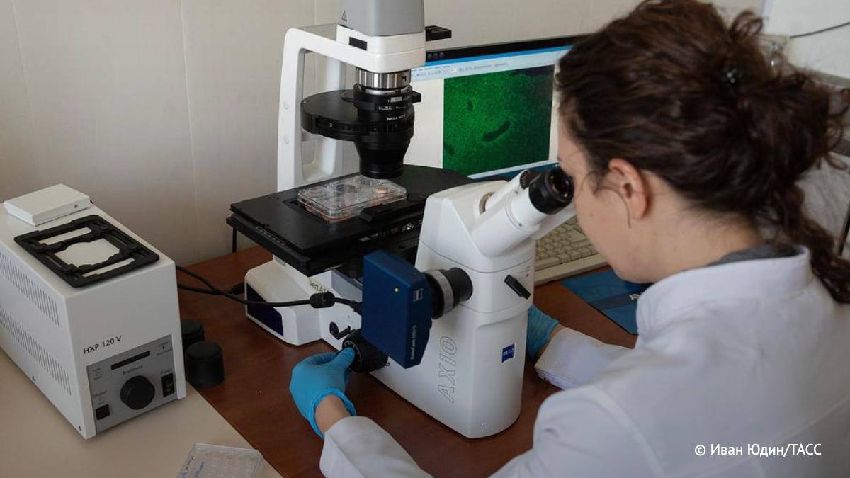 Ученые создали технологию печати клеточных культур для лечения диабета первого типа. Об этом сообщила пресс-служба ESOT. Подход позволяет получать при помощи биопечати полноценные островки поджелудочной железы, пригодные для подкожной имплантации в организм пациента. Фото и информация: ТАСС #знаниевгороде