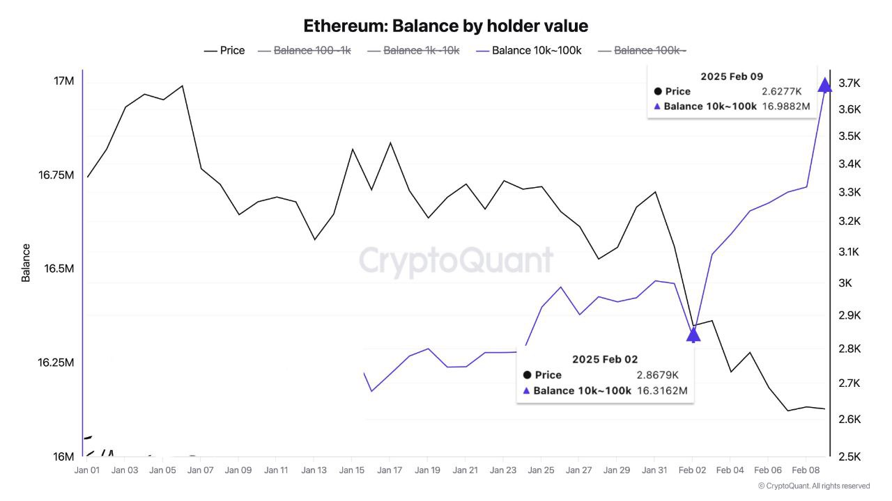 Киты накапливают ETH на просадке – что происходит?      Массовая скупка эфира   — Инвесторы с балансом от 10 000 до 100 000 ETH приобрели более 600 000 монет, увеличив общий запас до 16,988 млн ETH.   — Крупные фонды, такие как BlackRock, Cumberland и CoinShares, также увеличили инвестиции в ETH, подтверждая высокий уровень доверия.       Ethereum набирает популярность   — Число активных ETH-кошельков в феврале выросло до 139,09 млн, что говорит о растущем интересе к платформе.   — Ходлеры ожидают роста курса до $3 000 и выше, продолжая накапливать криптовалюту.     Биткоин теряет активность   — Количество активных BTC-кошельков снизилось до 54,44 млн, вернувшись на уровень декабря 2024 года.   — Инвесторы перераспределяют капитал в сторону ETH, реагируя на рыночные сигналы.       Выводы   — Киты и фонды делают ставку на рост ETH.   — Ethereum усиливает позиции, пока биткоин показывает снижение активности.   — Если тренд сохранится, ETH может выйти в новый бычий цикл.    Что вы делаете с ETH?      — Покупаю больше, ожидая роста     — Холд, жду подтверждения тренда     — Фиксирую прибыль, рынок перегрет