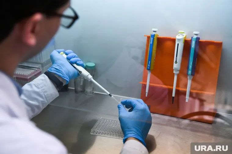 Пермские ученые нашли замену химиотерапии Исследователи Института экологии и генетики микроорганизмов УрО РАН и кафедры микробиологии и иммунологии Пермского университета ПГНИУ установили размер наночастиц оксида графена, которые помогают бороться с раком. Оксид графена — материал на основе углерода. Применение наночастиц не вызывает побочных эффектов, как при традиционной химиотерапии. Подписаться Дать «буст»