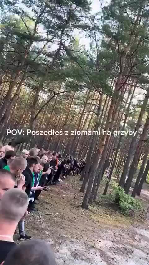 Польские футбольные фанаты протестуют против действий немецкой полиции на границе