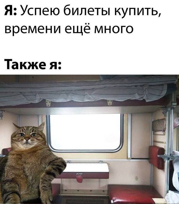 В российские поезда теперь можно будет садиться не предъявляя паспорт Там появится посадка по биометрии Минтранс хочет ввести эту систему в 2026 году на отдельных маршрутах Сейчас метод тестируют Чтобы сесть на поезд без паспорта пассажирам нужно будет заранее зарегистрировать свою биометрию и дать согласие на обработку данных Ранее о введении похожей системы заявили в российских аэропортах там биометрия поможет легче проходить контроль Будете пользоваться Кубань 24 в MAX