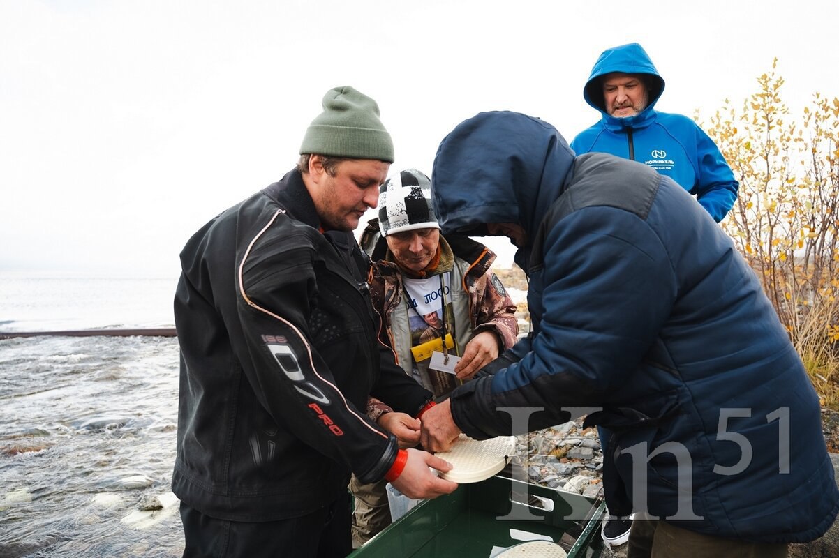 Северные регионы выпустили в реки более 1 3 млн мальков ценных рыб В 2025 году в Мурманской и Архангельской областях а также в Ненецком автономном округе в естественную среду выпустили свыше 1 3 млн экземпляров молоди ценных пород рыб Работы по искусственному воспроизводству шли как по линии государства так и в рамках компенсационных программ предприятий Такие мероприятия рассматриваются как один из ключевых инструментов сохранения и восстановления популяций ценных видов и поддержки биоразнообразия в условиях промышленного освоения территории Подписаться Прислать новость