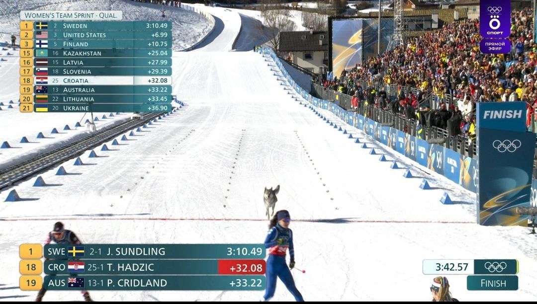 Собака финишировала на командном спринте по лыжным гонкам на Олимпиаде 2026 Я подумала что это волк сказала лыжница из Греции Константина Харалампиду которая столкнулась с собакой на трассе еще до финиша   Организаторы убрали зверя со стадиона при этом опубликовав с собакой фотофиниш