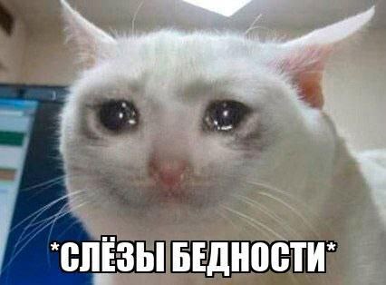 Омская область оказалась среди российских регионов с бедностью ниже 10%. РИА Новости составило рейтинг регионов России по доходам населения. Омская область заняла 41 место из 85 — почти в середине списка. За чертой бедности в регионе живут 9,1% жителей. Это меньше, чем в 2023 году — тогда было 10,6%. Средний доход омича почти вдвое превышает базовый потребительский минимум показатель — 1,88 . Среди соседей: ⏺Новосибирская область — 22 место, бедных 8,2%; ⏺Красноярский край — 31 место, бедных 11%; ⏺Иркутская область — 43 место, бедных 11,5%; ⏺Алтайский край — 77 место, бедных 12,1%. Самый высокий уровень доходов — в Ямало-Ненецком АО коэффициент 3,94 . Самый низкий — в Ингушетии 1,13 , где четверть населения живет за чертой бедности. Написать в редакцию можно здесь.