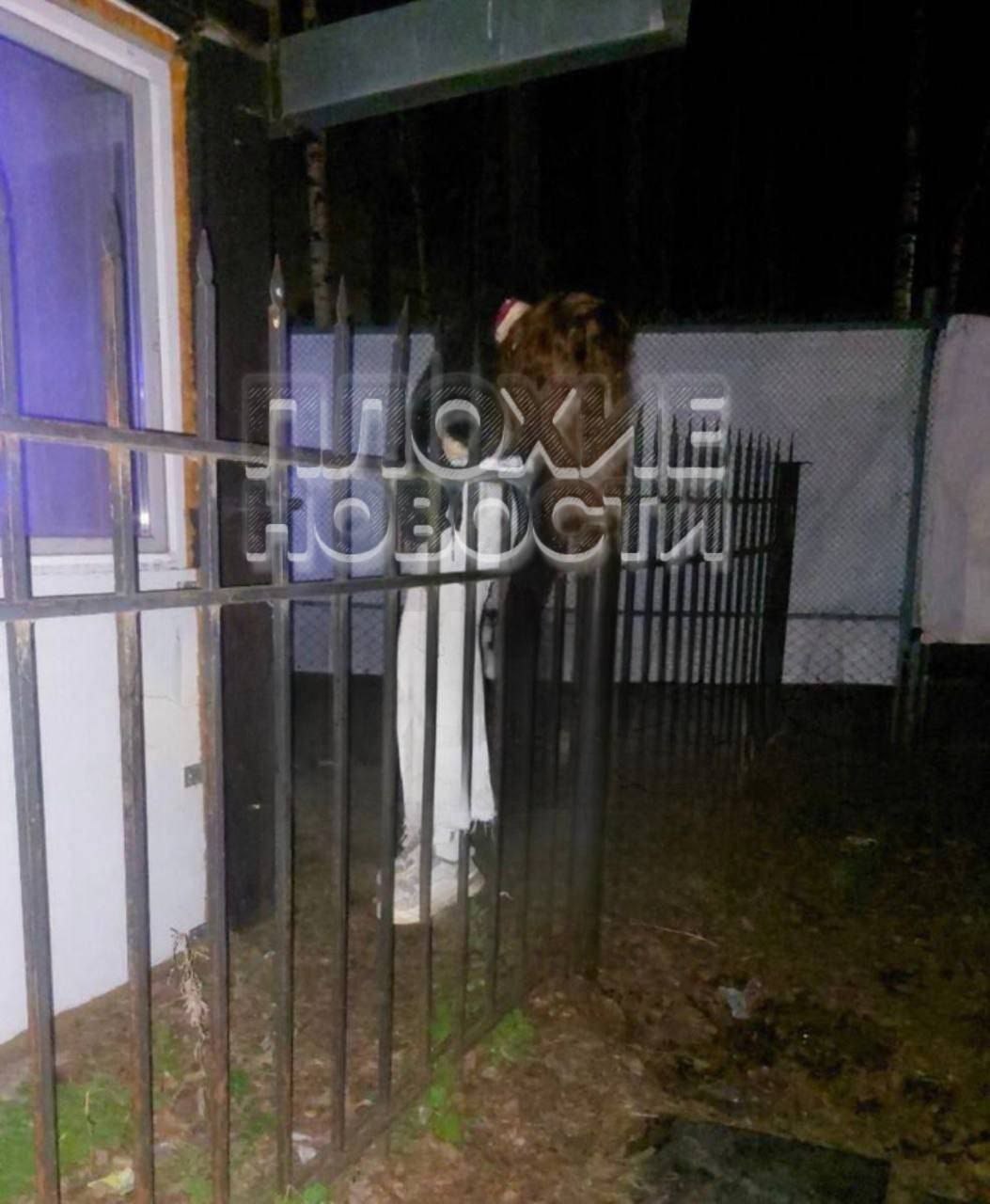 В Перми журналистка Татьяна Кротова заявила о возбуждении против нее уголовных дел из-за обвинения таджиков в убийстве 18-летней русской девушки Женщина сообщила, что в ее статьях усмотрели "фейки" и "разжигание вражды". Кротова в своих публикациях писала, что Надю изнасиловали и посадили на забор — как в 90-х поступали с русскими девочками в Таджикистане. Журналистка считает, что мигрантов "крышует" местная полиция и диаспора. В настоящее время смерть девушки квалифицирована как "несчастный случай".