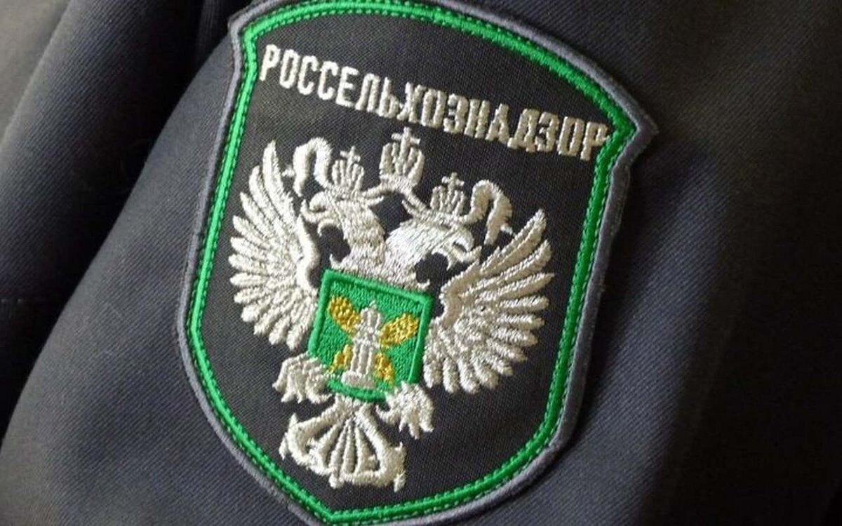 В Керчи обнаружили нелегальную продукцию животного происхождения  В одном из керченских кафе сотрудники Азово-Черноморского межрегионального управления Россельхознадзора изъяли и уничтожили сразу несколько килограммов немаркированной продукции без установленных сроков годности.  Как пояснили в ведомстве, продукты питания были в основном животного происхождения. Собственник теперь должен выплатить штраф. Всего же, с 1 февраля и по 1 августа было проверено 162 точки общественного питания.    ВЕСТИ КРЫМ
