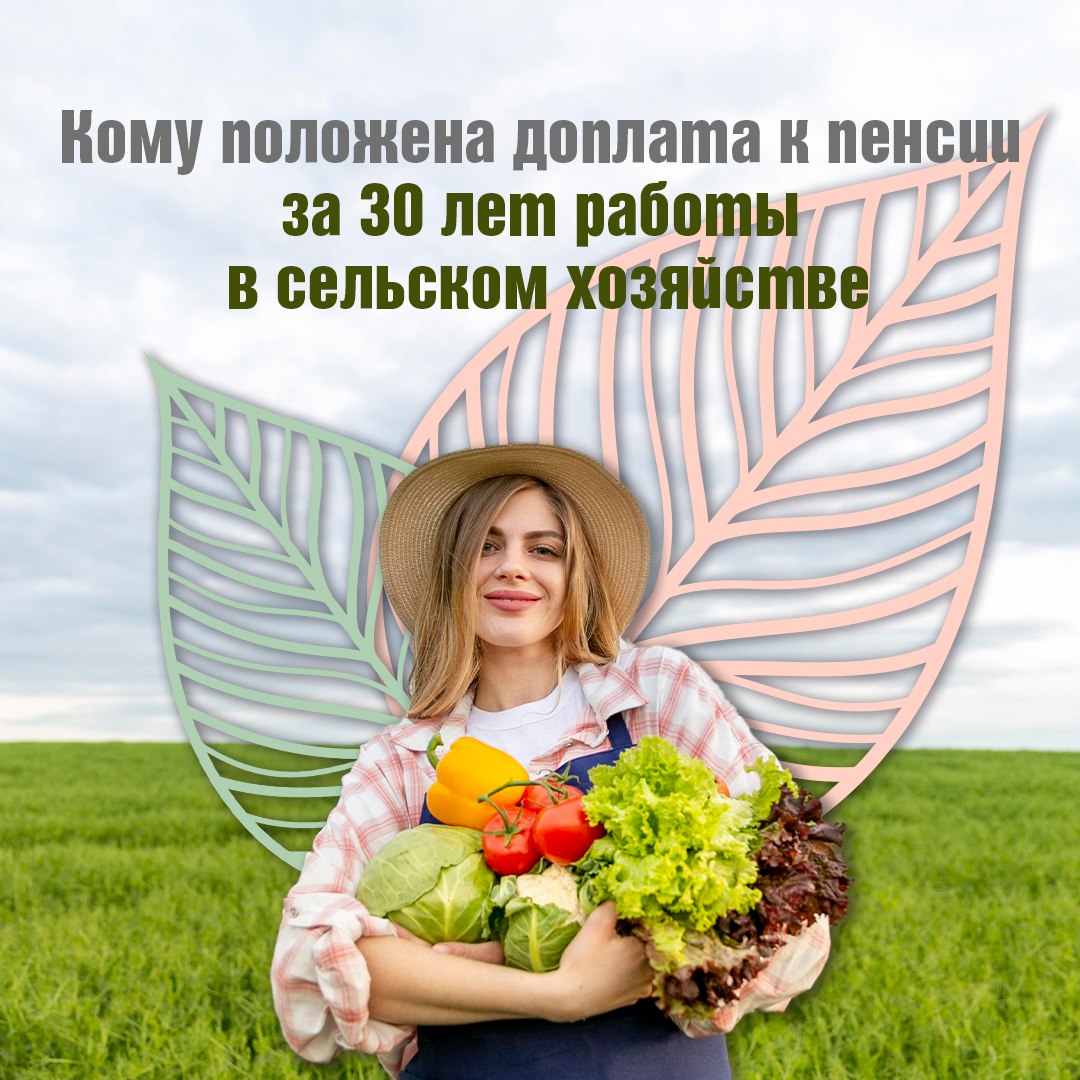 Колымчане, отработавшие не менее 30 лет в сельском хозяйстве, имеют право на повышенную пенсию. Размер доплаты составляет 25% от фиксированной выплаты к страховой пенсии по старости или инвалидности. Отделение СФР по Магаданской области установит прибавку, если пенсионер: является неработающим, трудился в сельском хозяйстве в определенных должностях не менее 30 лет, на момент установления доплаты проживал в сельской местности. При переезде в город уже установленная надбавка сохраняется. Телефон единого контакт-центра – 8-800-10-000-01 9:00-17:00, пн.-пт.