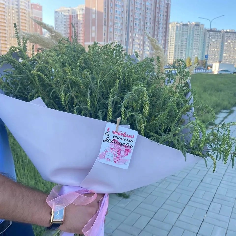 В Ростове мэр потребовал покос амброзии везде — даже на "ничейных" участках. Мэр донской столицы Александр Скрябин потребовал от глав районов усилить борьбу с амброзией. По последним отчётам, два района города сильно отстают, и времени на раскачку, по словам градоначальника, уже не осталось. Скрябин напомнил чиновникам, что теперь никаких "бесхозных территорий" не существует — косить траву должны везде, без исключений. Весь город должен быть под контролем. Он также отметил, что многие ростовчане сами включились в борьбу с сорняком — кто-то убирает во дворах, кто-то на пустырях рядом с домом. Такая поддержка, по его словам, — реальная помощь людям с аллергией. Подписаться Связь с редакцией
