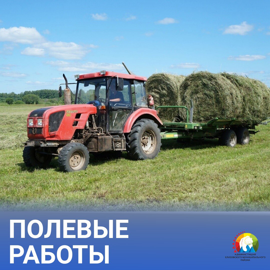 ПОЛЕВЫЕ РАБОТЫ Продолжается заготовка кормов в Елизовском районе. По оперативным данным на 14 августа5 заготовлено всего 9808,1 тонны кормов из однолетних и многолетних трав с общей площади 2455,6 га, в том числе: – из однолетних трав: сенажа 14,3 тонны с площади 10,0 га; – из многолетних трав: сенажа 1 658,6 тонны с площади 429,3 га; сена 472,5 тонны с площади 230,5 га; силоса 6 075,0 тонны с площади 1 446,0 га. Коров дойного стада подкармливают зеленым кормом из многолетних трав, всего скормлено 1 587,7 тонны, которые собраны с площади 339,8 га. #ЕМР_экономика #elizovomr #елизовский_район #камчатка41 #новостиЕМР