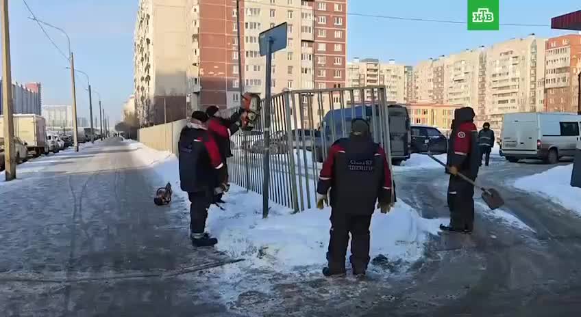 В Петербурге ликвидируют незаконную автостоянку на Богатырском проспекте