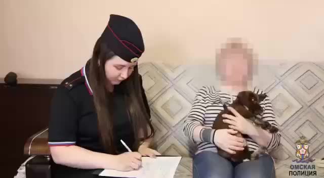 Собака Лаки восстанавливается после падения с утеса благодаря помощи волонтеров и коляске от доброго человека