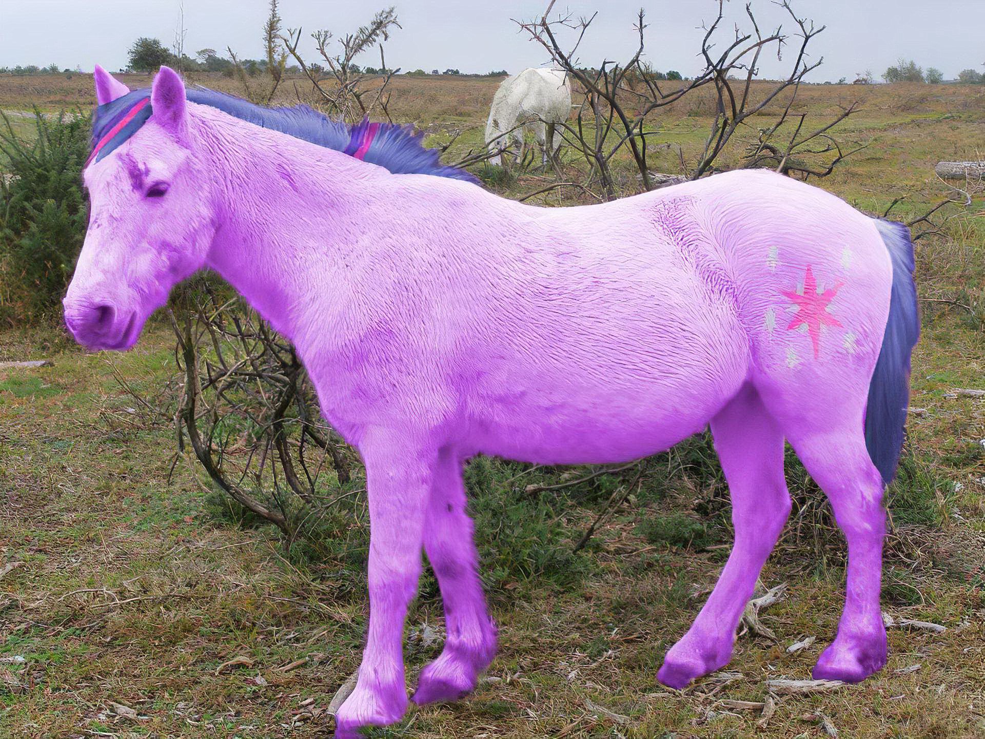 По My Little Pony выпустят фильм с живыми актёрами.  Такого не было за все 43 года существования франшизы. Над фильмом работает Amazon MGM и Hasbro. Режиссёра и сценариста пока не объявили.  В последний раз My Little Pony был на слуху после премьеры полнометражки «My Little Pony: Новое поколение».    Фильмы на вечер