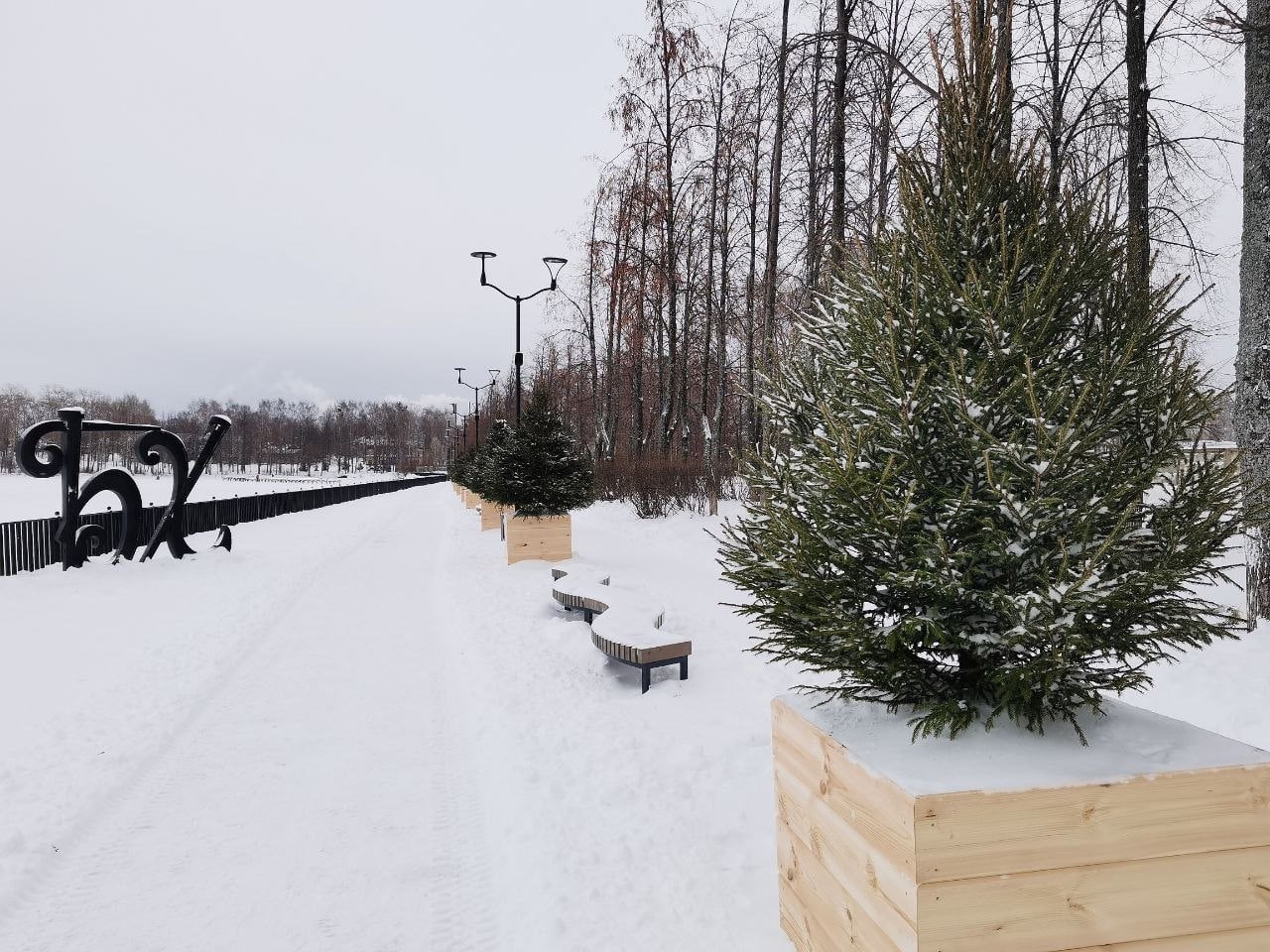 В Белой Холунице на набережной местного пруда появились вот такие елочки. В ближайшее время их собираются украсить игрушками и гирляндами. Выглядит очень красиво.  Фото: Холуницкие зори   Подписаться