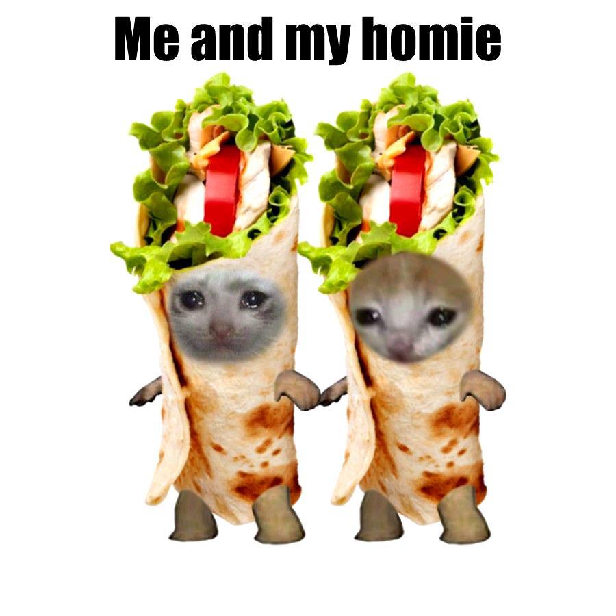 Шаурма ПОЛЕЗНА для здоровья Врачи внезапно встали на сторону уличной еды Они заявили что шаурма не несет никакого вреда а наоборот замечательно насыщает организм даёт белок для мышц и содержит уйму витаминов и минералов Но как всегда есть нюансы Эксперты советуют не заливать всё литрами соуса выбирать курицу или нежирное мясо и добавлять побольше овощей поменьше майонеза Меню на вечер официально утверждено