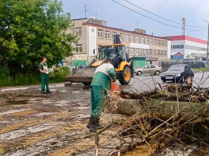 В Подмосковье 14 деревьев упали на проезжую часть из-за ветра. Из них девять деревьев упало в Солнечногорске. Также пострадали Истра, Рузский, Дмитровский и Электросталь. Рабочие ликвидируют последствия непогоды. Водителей призвали не парковаться под деревьями. Фото: Дороги и транспорт МО / Telegram