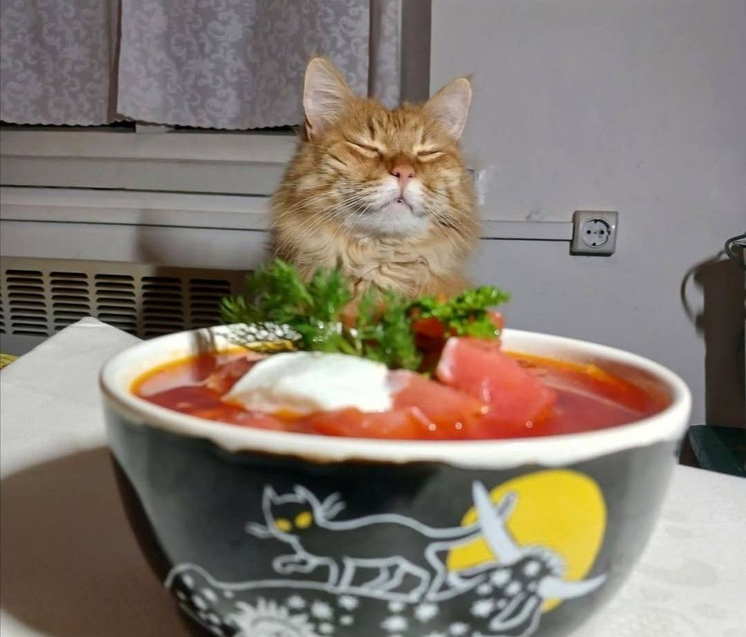 Сегодня отмечается День борща 10 ноября в России и других странах отмечается День борща любимого блюда многих поколений Этот насыщенный суп приготовленный на основе свеклы капусты и различных овощей стал символом национальной кухни В честь праздника рестораны устраивают специальные дегустации борща а кулинары делятся своими уникальными рецептами Не упустите возможность порадовать себя этой вкусной традицией