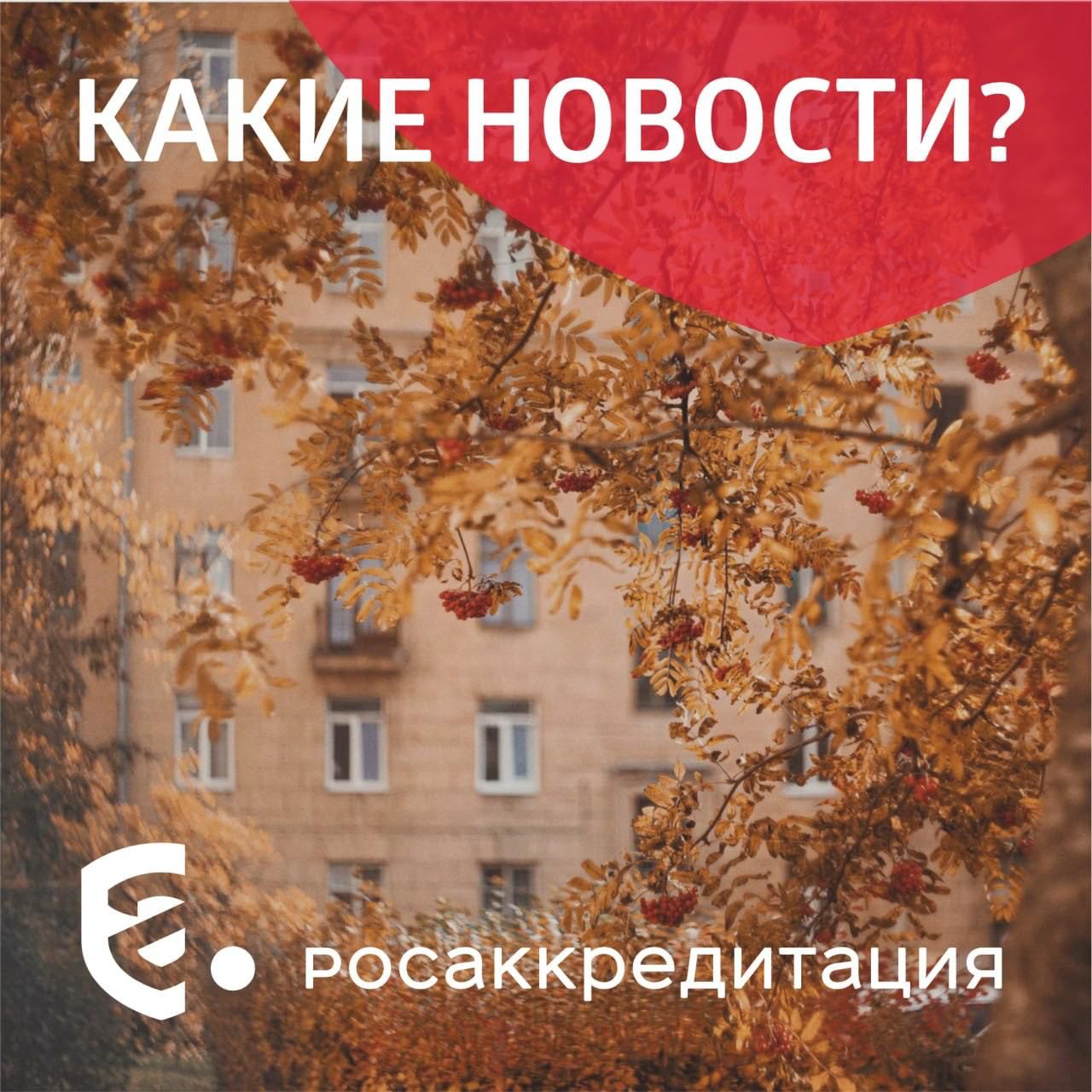 Какие новости Поток туристов между РФ Монголией и КНР может вырасти до 10 млн к 2030 году За последние годы в 19 регионах от Бурятии до Москвы и Санкт Петербурга создано около ста объектов федерального и регионального значения связанных с историей Великого Чайного пути В России растет число малых предприятий и их оборот Количество малых и средних предприятий превысило 6 7 млн а оборот МСП в России в 2025 году вырос на 6 по сравнению с предыдущим годом Россия и Казахстан договорились о расширении торговли сельхозпродукцией Также стороны обсудили совместную работу по созданию новых конкурентоспособных сортов сельскохозяйственных культур с высокой урожайностью устойчивостью к внешним факторам и улучшенными качественными характеристиками Покупатели уже более 33 млн раз проверили сертификаты безопасности товаров на маркетплейсах