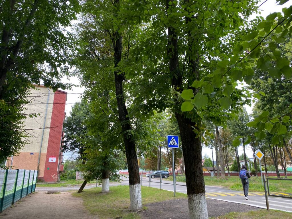 В Луговой Слободе проводят обрезку деревьев В агрогородке Луговая Слобода продолжаются работы по уходу за деревьями В ближайшее время пройдёт аварийное удаление больных насаждений от Дома культуры до улицы Мира Заместитель председателя Луговослободского сельисполкома Анастасия Галак отметила что вырубают только больные деревья которые уже не спасти Если есть возможность сохранить насаждение то в таком случае просто проводят санитарную обрезку и обработку специальными средствами ЛуговаяСлобода