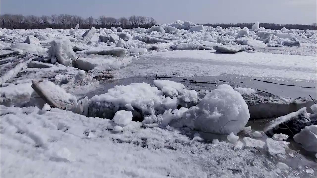 МЧС прогнозирует начало ледохода в Томске 5-9 апреля. Срок был сдвинут из-за пришедшего потепления  "С учетом уточненного прогноза, ориентировочно, по информации МЧС, ожидаем прохождение паводка с 5 по 9 апреля, что чуть-чуть раньше среднегодовых значений. По льду, по текущей ситуации – чуть хуже, чем среднегодовая. Я имею в виду, по толщине льда, много шуги, много торосов, много снежных навесов. Но тем не менее какого-то сильно критического прогноза на данный момент нет", – рассказал заммэра Николай Глебович   РИА Томск    Подписаться! Регион-70      Прислать новость‌‌