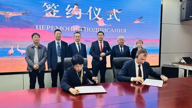 Якутия и Китай укрепляют сотрудничество в экологии В ходе визита якутской делегации в КНР были подписаны несколько ключевых соглашений которые задают новый курс в охране природы изучении биоразнообразия и развитии научного туризма Министерство экологии Якутии наладило прямой контакт с Управлением лесного хозяйства провинции Цзянси Кроме того Национальный парк Ленские столбы и Институт биологических проблем криолитозоны СО РАН заключили меморандум с Национальным природным заповедником Озеро Поянху Документы создают платформу для совместных научных экспедиций обмена опытом в сохранении уникальных экосистем и продвижения экологического туризма Учёные и экологи двух стран смогут совместно изучать флору и фауну разрабатывать меры по защите редких видов и вовлекать локальные сообщества в проекты по устойчивому развитию Это сотрудничество открывает новые возможности для Якутии в области международной науки и практической экологии а для Китая доступ к уникальным природным зонам и совместным исследованиям в арктическом и субарктическом регионах