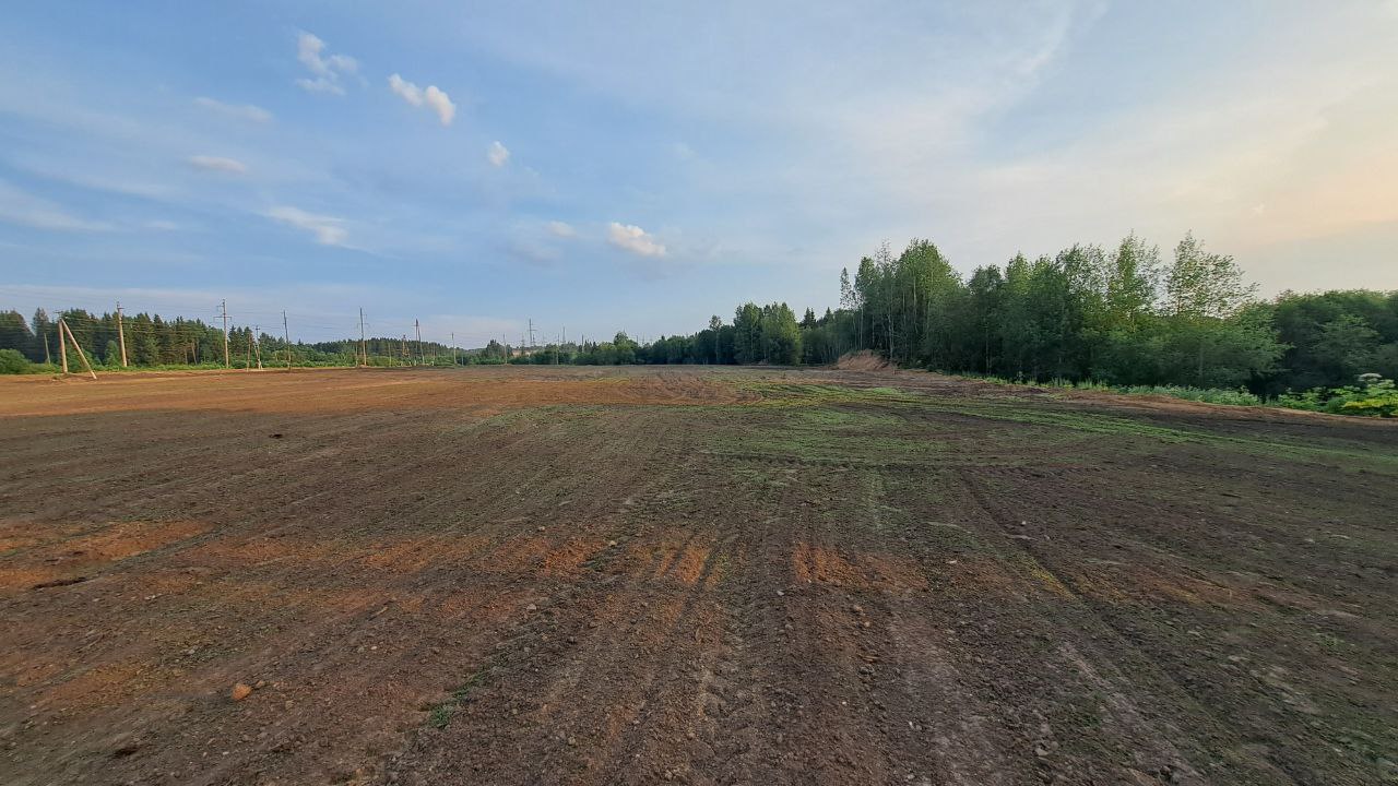 В этом году в Кировской области ликвидируют 6 старых поселенческих свалок общей площадью 7 гектаров. Это свалки в Арбаже, Унях, Подосиновце, Фаленках, Яранске и Белой Холунице.  Работы выполнят за счет средств областного бюджета и в рамках национального проекта «Экологическое благополучие».  — Контракты на ликвидацию свалок необходимо заключить до 1 апреля, а работы завершить в 2025 году. В районах уже проведены предварительные обследования земельных участков. На очищенной территории будут проведены анализы химического состояния почвы. Только после получения положительных результатов исследований можно говорить о том, что свалка ликвидирована, а земельный участок готов к дальнейшему использованию, — сообщили министерстве охраны окружающей среды Кировской области.   Кировская область