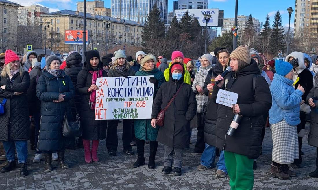 В Новосибирске прошёл митинг против убийства бездомных животных  Активисты с плакатами собрались у ГПНТБ, чтобы выразить протест против усыпления бездомных животных. На согласованное с мэрией мероприятие пришли не только жители города, но и люди из соседних населённых пунктов, таких как Линёво и Искитим.  Митингующие выступили против нового законопроекта, который предлагает умерщвлять животных через определённое время после отлова. Зоозащитники уверены, что это приведёт к массовым убийствам. Юристы также критикуют инициативу, считая её эмоциональной и непродуманной.     Прислать новость