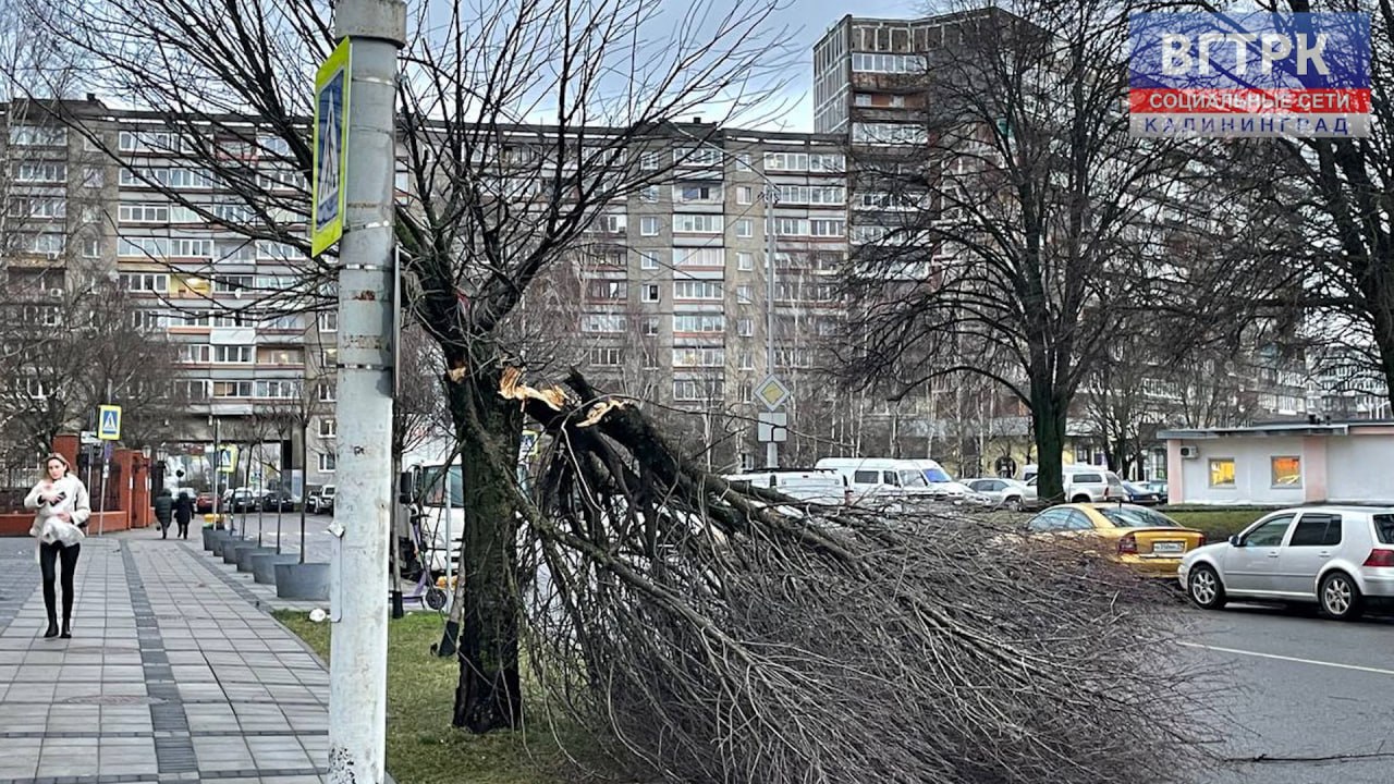 Ураганный ветер бушует в Калининграде. В ближайшие 2-3 часа будьте предельно аккуратны!