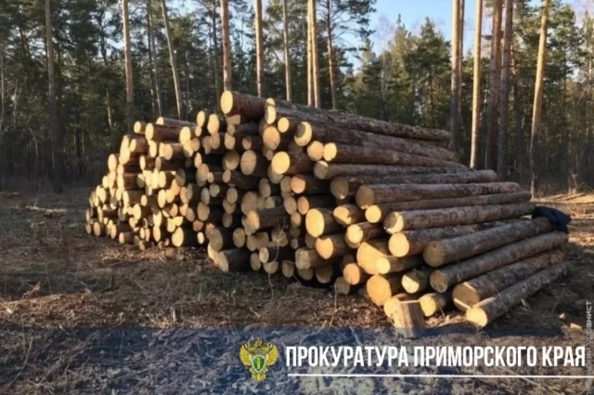 Жительницу Хабаровского края признали виновной в организации незаконного вывоза леса  . В Приморском крае ей назначили условный срок 7 лет с испытательным сроком 4 года 9 месяцев с ограничением права заниматься внешнеэкономической деятельностью.     Участница группы оформляла фиктивные документы для отправки ценной древесины на сумму свыше 141 миллиона рублей в Китай  . Лесоматериалы были задержаны правоохранителями   в ходе операции.     Суд учёл содействие расследованию, у обвиняемой было конфисковано имущество на сумму 814 тысяч рублей. Приговор пока не вступил в силу.     #Приморье #контрабанда #лес #суд #ХабаровскийКрай #новости