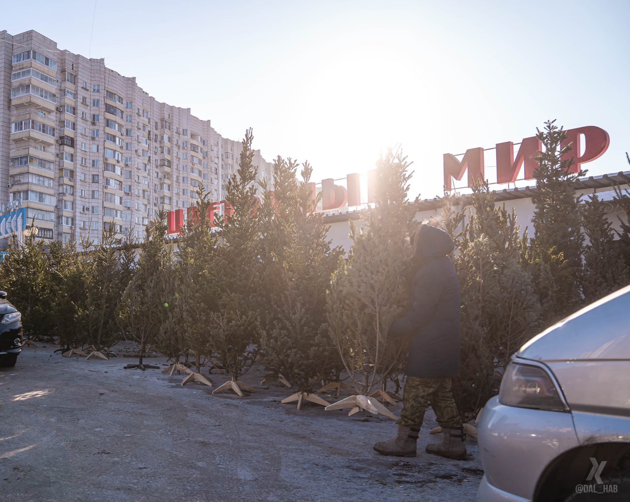 В Хабаровске скоро заработают елочные базары.  В настоящее время в городе уже выбрано около 30 мест для реализации новогодних деревьев. Официальная торговля новогодними елками начнется с 20 декабря.   По предварительным данным, в Центральном районе будет 20 пунктов по продаже елок, в Индустриальном - восемь, в Кировском и Краснофлотском - по одному.  #Хабаровск       Дальний Восток   Делись новостью