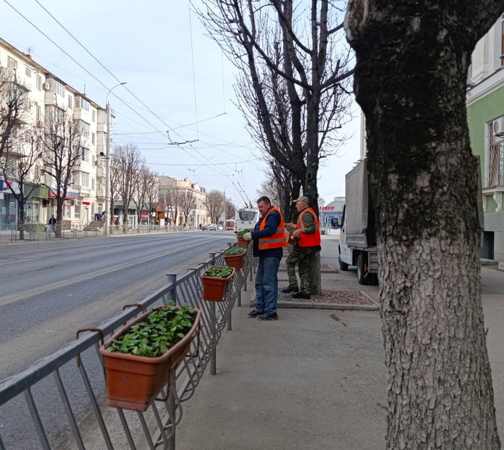 Центральные улицы Симферополя украсили кашпо с весенними цветами  Всего будет установлено более 880 кашпо с виолами различных расцветок.    : Администрация Симферополя    ВЕСТИ КРЫМ