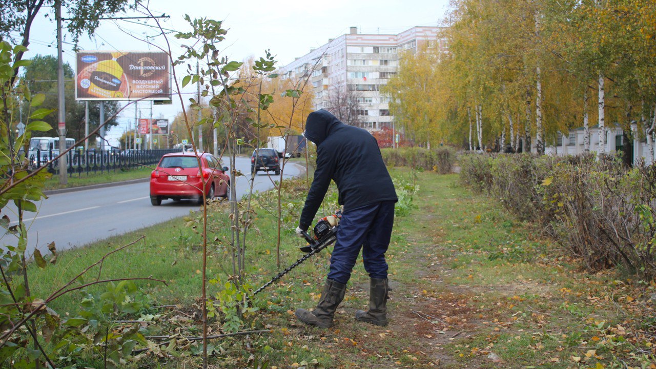 Дирекция благоустройства выполняет сезонные работы в областном центре. 24 октября кустарник подстригали на улице Новоселов. Сорную растительность удалили в парке им. Ю.А. Гагарина и Московском шоссе. На улице Фрунзе продолжается поднятие крон деревьев.  Во всех районах города выполняется уборка случайного мусора, очистка урн. Спецтехника подметает дороги и тротуары. В сквере Дома общественных организаций, сквере Керамзавода, парке Железнодорожников сгребали и вывозили листву. Проводится вывоз веток в Мемориальном парке героев Отечественной войны 1812 года и сквере Дома общественных организаций.  Саженцы поливали на улице Маяковского, Лыбедском бульваре и других территориях.  Бригады мехуборки работали на проезде Яблочкова.