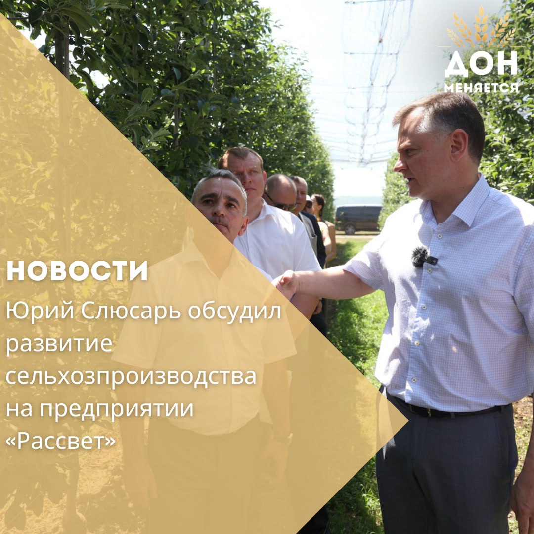 9 июля в ходе рабочей поездки в Куйбышевский район глава Ростовской области Юрий Слюсарь посетил предприятие «Рассвет» и встретился с его руководством для обсуждения планов по развитию сельского хозяйства. «Рассвет» занимается растениеводством, выращивая зерновые, масличные и плодовые культуры на площади более 20 тысяч гектаров, из которых 154 гектара занимают фруктовые сады. В 2024 году компания завершила инвестиционный проект по созданию фруктового центра, который включает сортировочный цех с мощностью хранения 5,2 тысячи тонн. Современное оборудование позволяет упаковывать 50 тонн яблок в сутки. Предприятие активно использует меры господдержки и за последние три года получило около 100 млн рублей субсидий. В компании работает более 200 человек. Для дальнейшего развития садоводческих мощностей и обеспечения стабильной работы Юрий Слюсарь поручил региональному министерству промышленности проработать включение «Рассвета» в перечень социально значимых предприятий, что обеспечит ему стабильное электроснабжение даже в периоды повышенных нагрузок. Глава региона также поблагодарил руководство «Рассвета» за помощь военнослужащим в зоне специальной военной операции, отметив важность этой поддержки: «Вы много делаете – и хозяйство помогает, и вы лично отправляете помощь нашим бойцам. Благодарю вас, это дорогого стоит!»