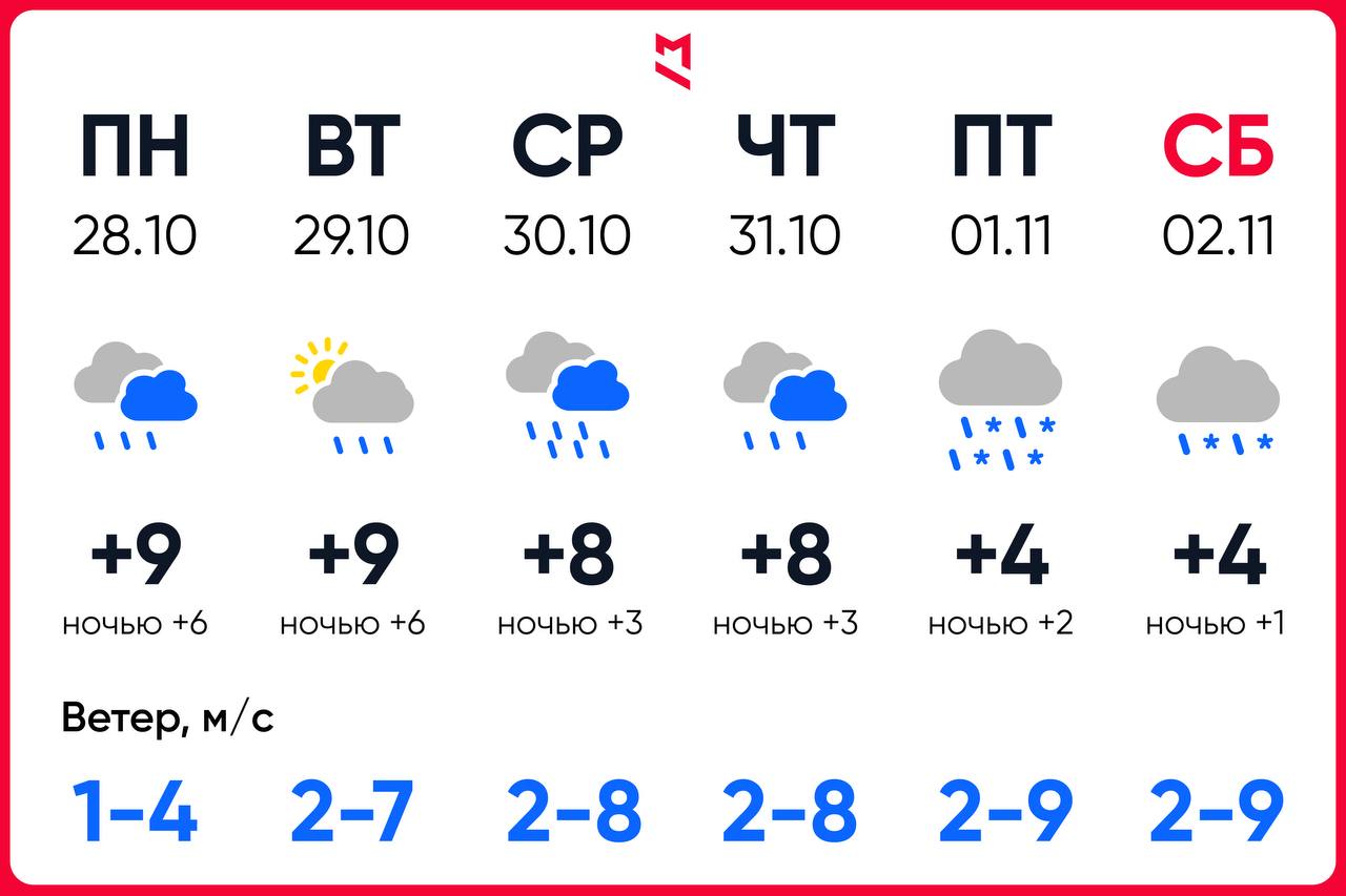 Ливни и мокрый снег будут в Москве на следующей неделе, в выходные метель, снежный покров может достичь 1-3 см — синоптики.    Первый Московский