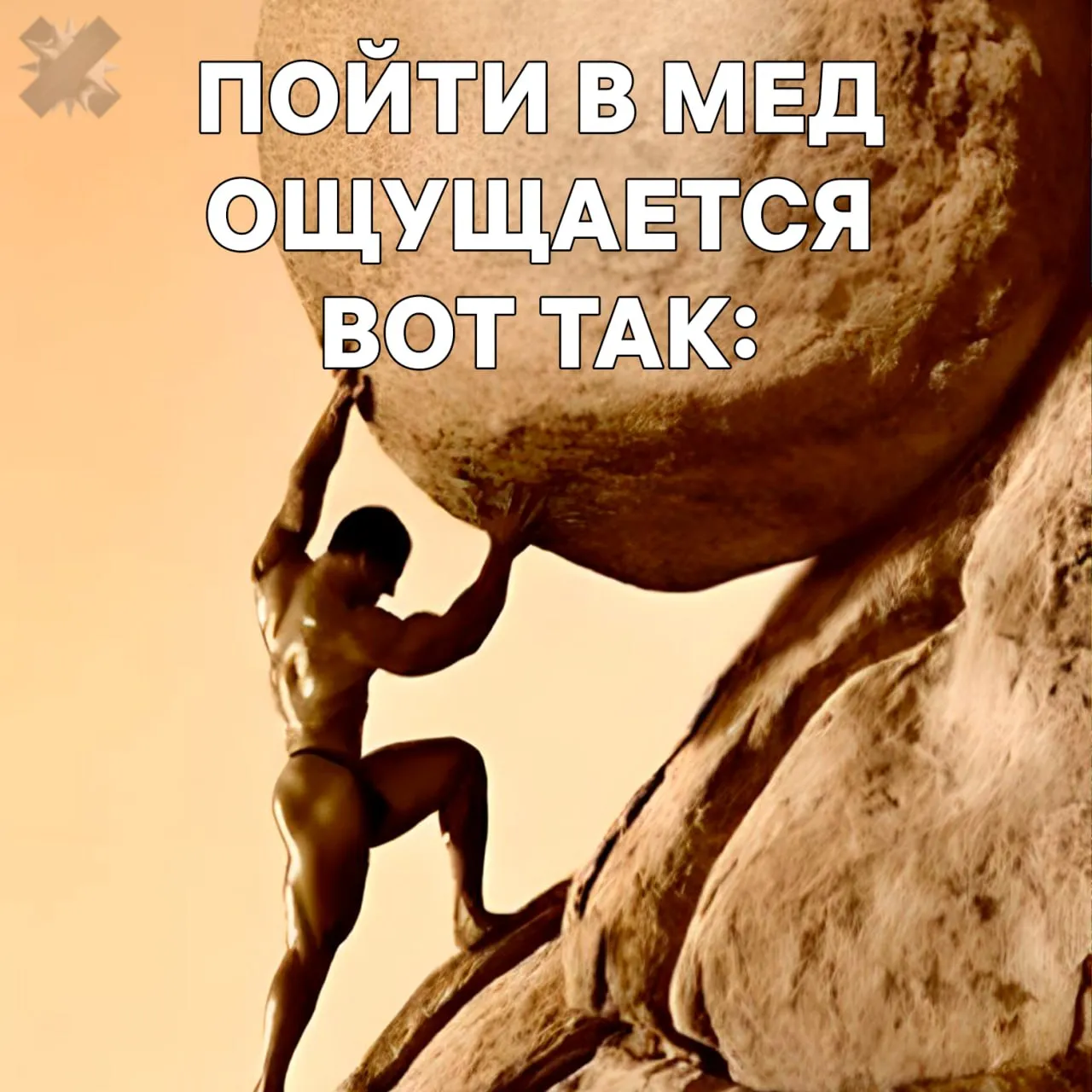 Выпускники забили на IT По данным опроса абитуриенты вузов теперь чаще выбирают инженерию и медицину по 18 IT специальности опустились на второе место с 15 В колледжах интерес к айти пока держится направление лидирует с 20 но его уже догоняют рабочие специальности в строительстве и производстве   инженеры снова в деле айтишники закончились на зуме я в детском садике ваще НМШ