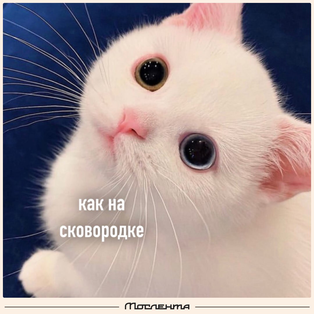 «Оранжевый» уровень погодной опасности объявили в Москве на ближайшие три дня из-за жары. Берегите себя и своих близких, используйте защиту от солнца и не забывайте пить воду и своевременно охлаждаться. А где в Москве можно охладиться у воды, писали тут