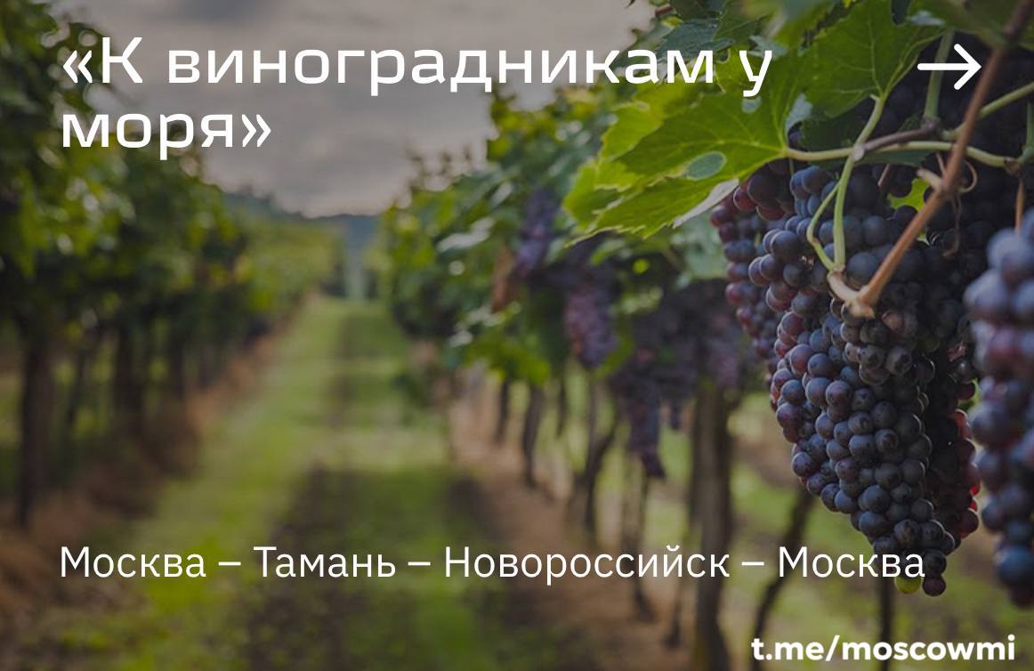 РЖД запускает винный тур на поезде-отеле из Москвы. Первый круиз стартует 4 сентября и продлится 5 дней. В программе — путешествие по винодельне «Шато Тамань», «Фанагория», «Шато де Талю», комплексу Chateau Pinot, «Абрау-Дюрсо», а также по улиточной ферме.