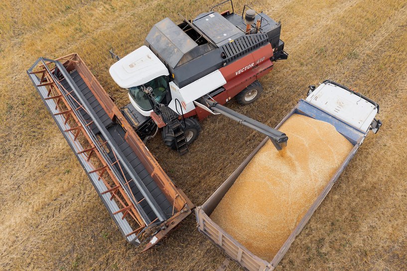 В Татарстане в 2026 году планируют собрать 4 3 млн тонн зерна Также в республике за год хотят собрать 2 3 млн тонн сахарной свеклы и 280 тыс тонн картофеля при благоприятных погодных условиях Ожидаемый прирост в сельском хозяйстве в 2026 году 1 5 Фото Коммерсантъ Александр Манзюк kommersantkazan