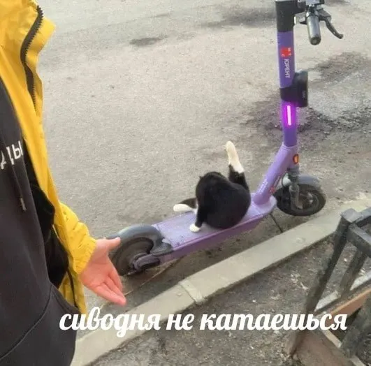 Подростковая дирекция парков снова набирает стажеров Этим летом подростки смогут поработать парк менеджерами в Казани Дирекция парков и скверов открыла набор в Подростковую дирекцию оплачиваемую стажировку для ребят от 14 до 18 лет В этом году стажеров распределят по четырем площадкам в Елмай парк Черное озеро Горкинско Ометьевский лес и на бульвар по Серова У каждого будет свой парк и вполне реальные задачи обходы территории помощь с событиями общение с подрядчиками экскурсии и собственный спецпроект Стажировка продлится с июня до конца августа Работать нужно будет четыре дня в неделю по четыре часа За работу обещают официальное трудоустройство зарплату и куратора который поможет встроиться в процессы Заявки принимаются до 12 мая по ссылке Вообще Подростковая дирекция парков остается одним из немногих примеров в Казани где подростков не зовут просто поучаствовать а действительно дают им роль внутри городской системы И кажется такой формат мог бы работать не только в парках Как вам кажется у каких еще городских команд или институций могла бы появиться своя подростковая дирекция