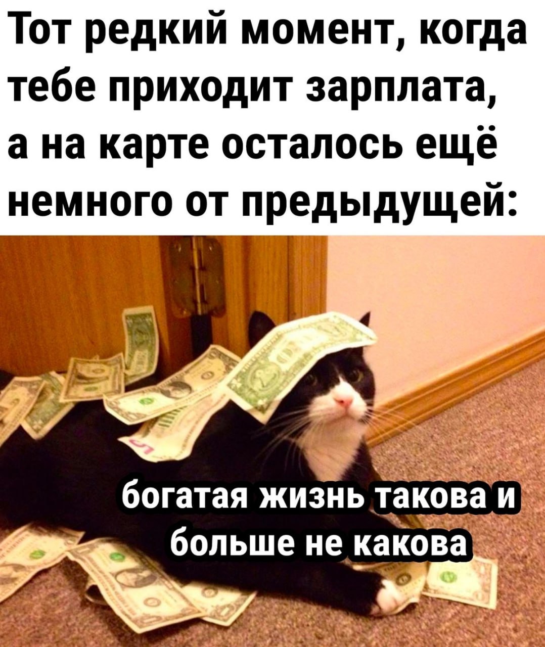 Средняя номинальная зарплата в РФ составляет 103 2 тыс рублей По данным Росстата это почти на 16 выше данных прошлого года рассказала профессор кафедры государственных и муниципальных финансов РЭУ имени Плеханова Юлия Финогенов При этом до конца года можно ожидать роста этого показателя на 3 4 Однако по словам эксперта более точным показателем считается медианная зарплата Он означает что всех работников условно делят на две равные части первая половина получает больше этого уровня вторая меньше Так медианная зарплата в июне достигла 66 2 тыс рублей увеличившись на 14 5 с начала года и на 20 по сравнению с тем же периодом 2024 года Подписаться на truekpru Читать нас в MAX