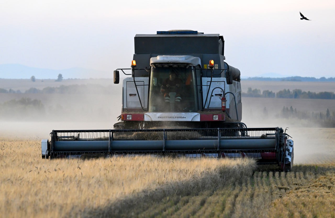 Программа льготного лизинга для предпринимателей в новых регионах продлена до конца 2026 года Речь идет о льготном лизинге техники и оборудования в сельскохозяйственной отрасли пищевой промышленности транспортной и строительной отраслях Ставка льготного лизинга оборудования российского производства составляет до 6 годовых иностранного до 8 В федеральном бюджете на реализацию программы в 2026 году предусмотрено 500 млн рублей Подписаться на Правительство России в MAX