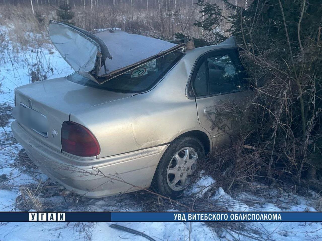 В Дубровенском районе в ДТП с диким животным погиб водитель   Авария произошла сегодня около 18:20 на автодороге Н-2731 вблизи деревни Сватощицы.  24-летний водитель автомобиля Rover совершил наезд на внезапно выбежавшее на проезжую часть дикое животное  лося , после чего съехал в левый по ходу движения кювет.   В результате аварии водитель от полученных телесных повреждений скончался на месте происшествия. Животное пало.  По факту ДТП проводится проверка.   ГАИ призывает водителей быть предельно внимательными. Выбор безопасной скорости в районе лесного массива и осторожность при проезде опасных отрезков позволят избежать ДТП.