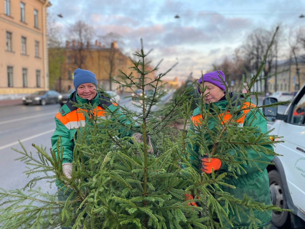 Маленькие елочки в вазонах украсили улицы Петербурга   В Московском районе более 1800 маленьких ёлочек разместят в опустевших после лета вазонах. Первые пушистые красавицы уже украсили площадь Победы, сквер Евгения Зиничева, Рощинский сад и Московский проспект. Продолжается работа по оформлению Московской площади, улицы Ленсовета, Пулковского шоссе;   Во Фрунзенском районе деревца разместили в сквере на Расстанной улице, на улице Ярослава Гашека, Лиговском проспекте, а также у Ивановского путепровода;   В центре Северной столицы новогодние ели создают праздничное настроение на Измайловском, Каменноостровском и Невском проспектах, в саду Маршала Говорова, на площади Восстания, Университетской и Английской набережных, на Исаакиевской площади и по другим адресам.  Фото: Комитет по благоустройству Вечерний Санкт-Петербург